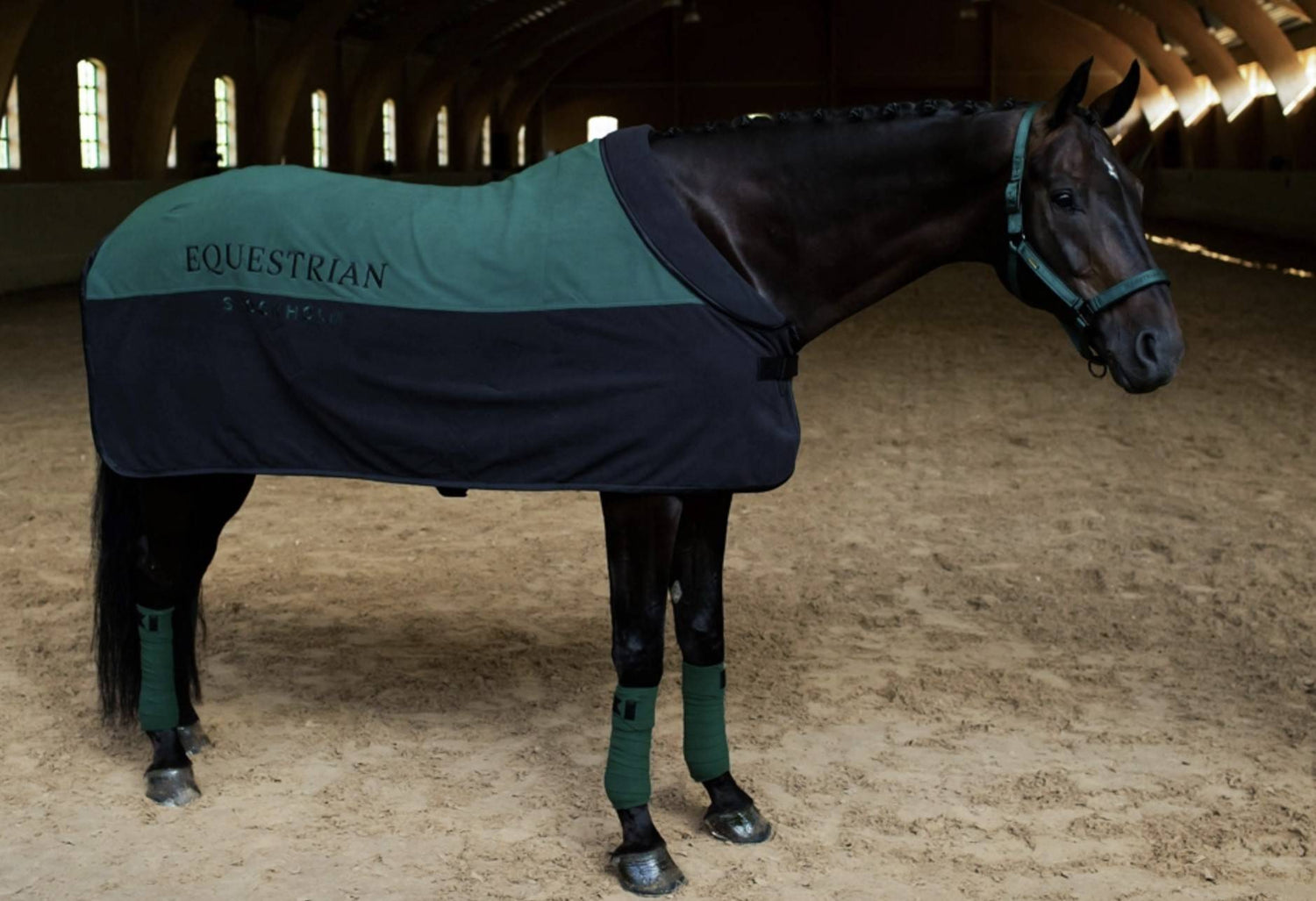 Halter and lead Sycamore Green - Equestrian Stockholm