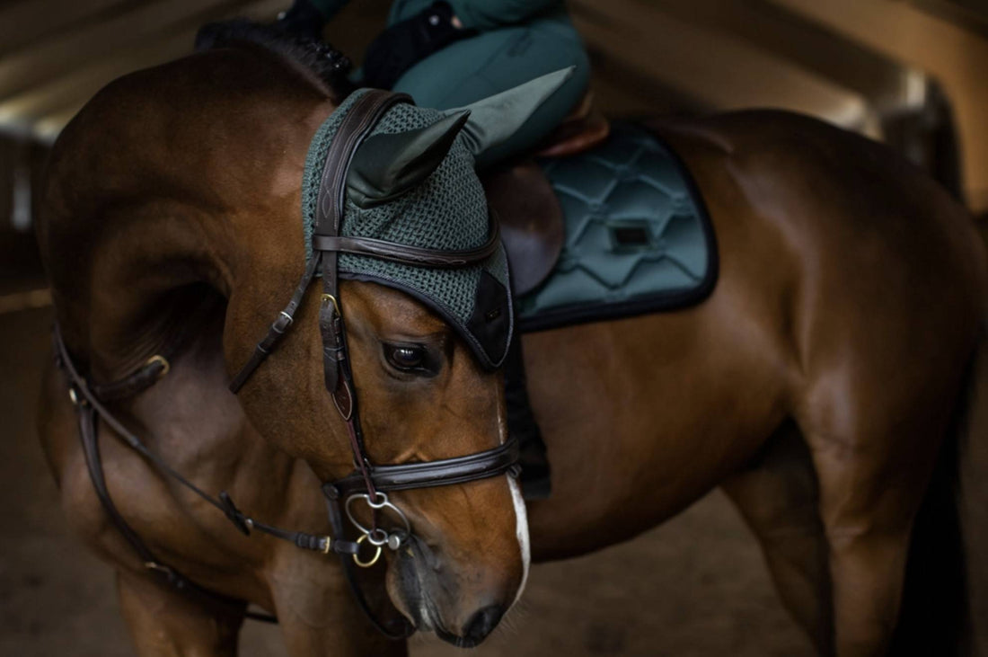 Bonnet anti-mouches Sycamore Green - Equestrian Stockholm