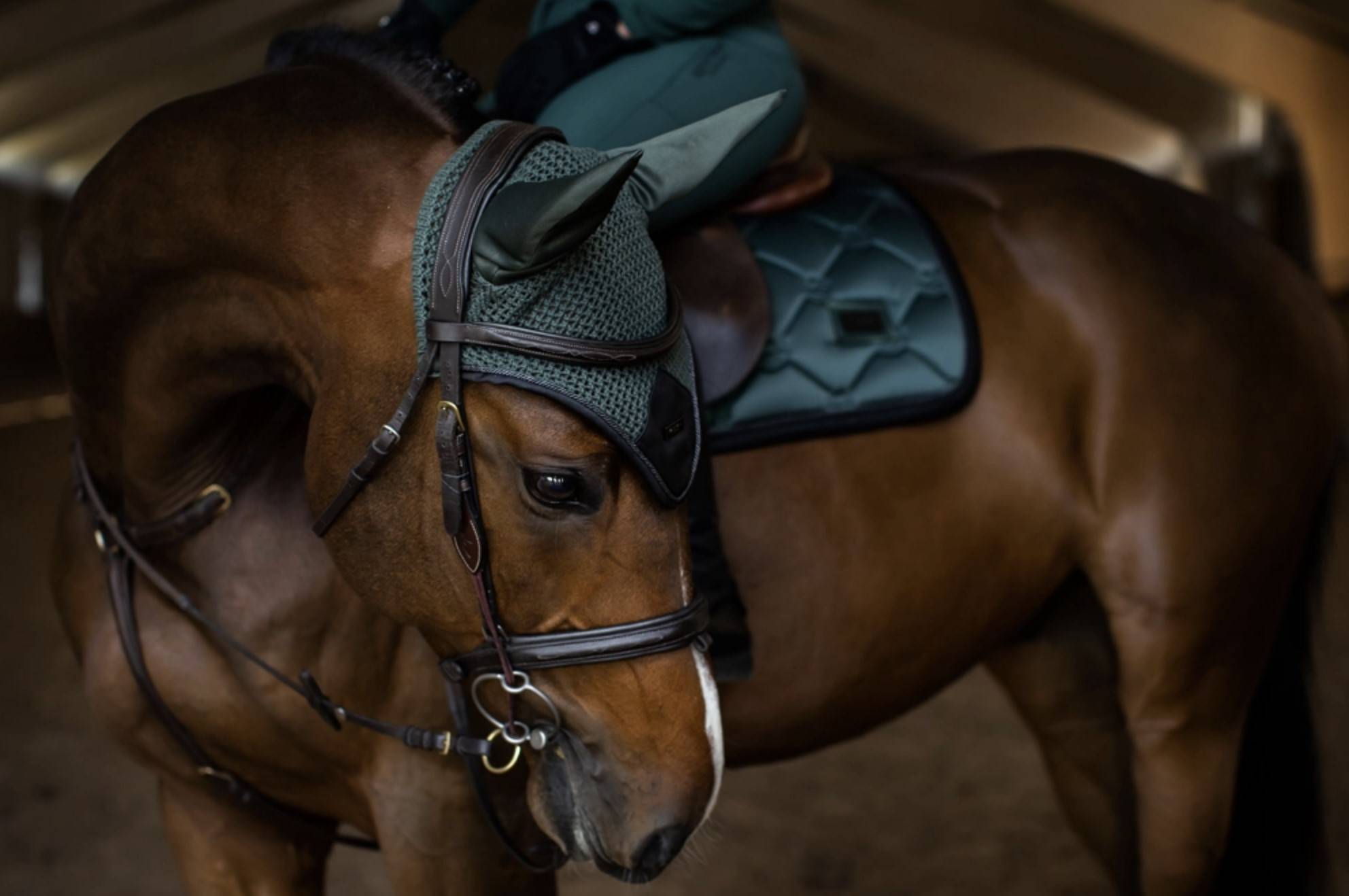 Fly cap Sycamore Green - Equestrian Stockholm