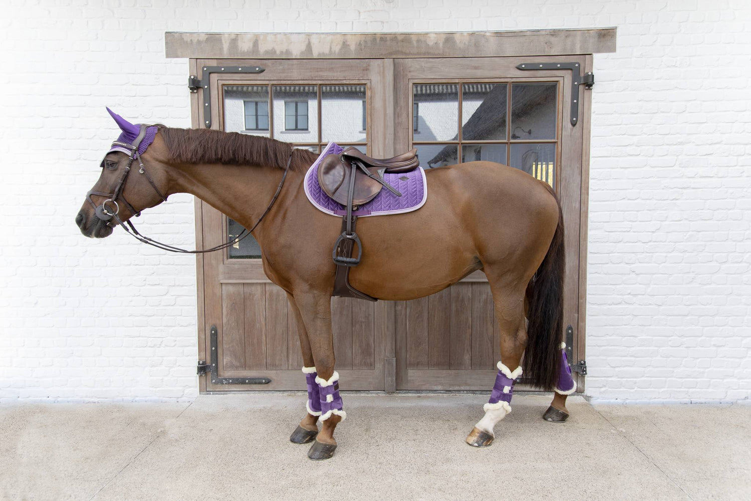 Velvet Contrast Gaiters - Kentucky