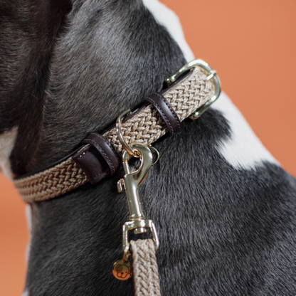 Collier pour chien en Nylon tressé - Kentucky