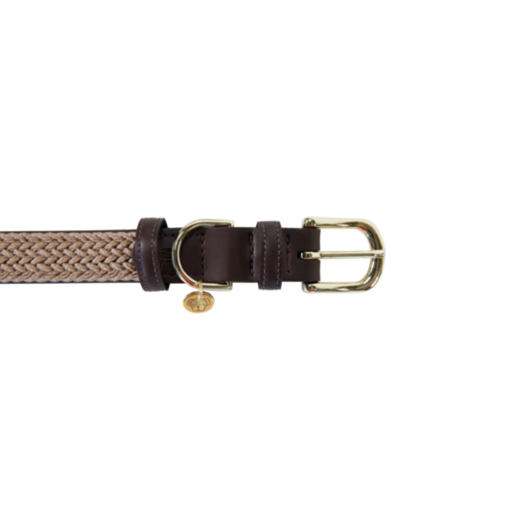Collier pour chien en Nylon tressé - Kentucky