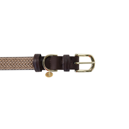 Collier pour chien en Nylon tressé - Kentucky