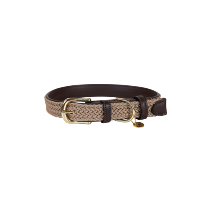 Collier pour chien en Nylon tressé - Kentucky
