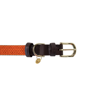 Collier pour chien en Nylon tressé - Kentucky