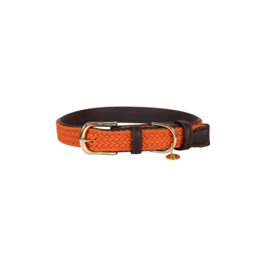 Collier pour chien en Nylon tressé - Kentucky