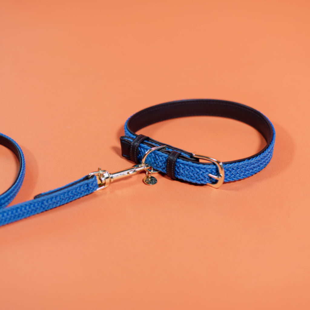 Braided Nylon Dog Leash - Kentucky