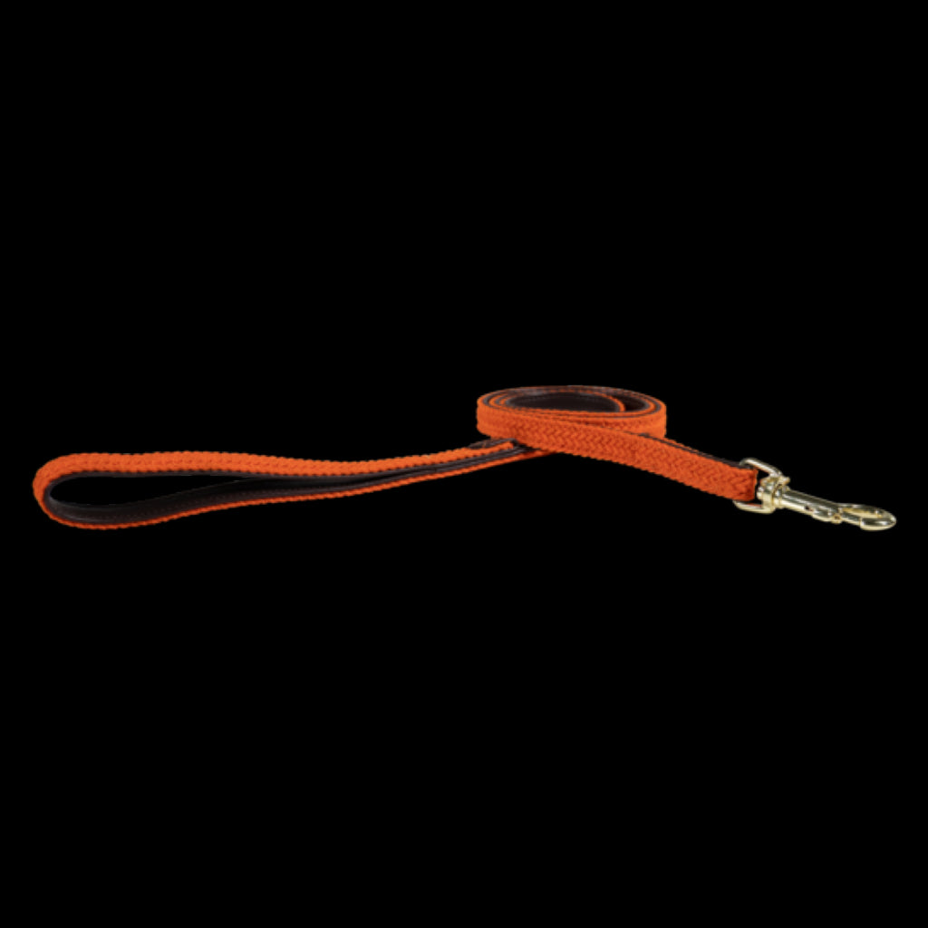 Braided Nylon Dog Leash - Kentucky