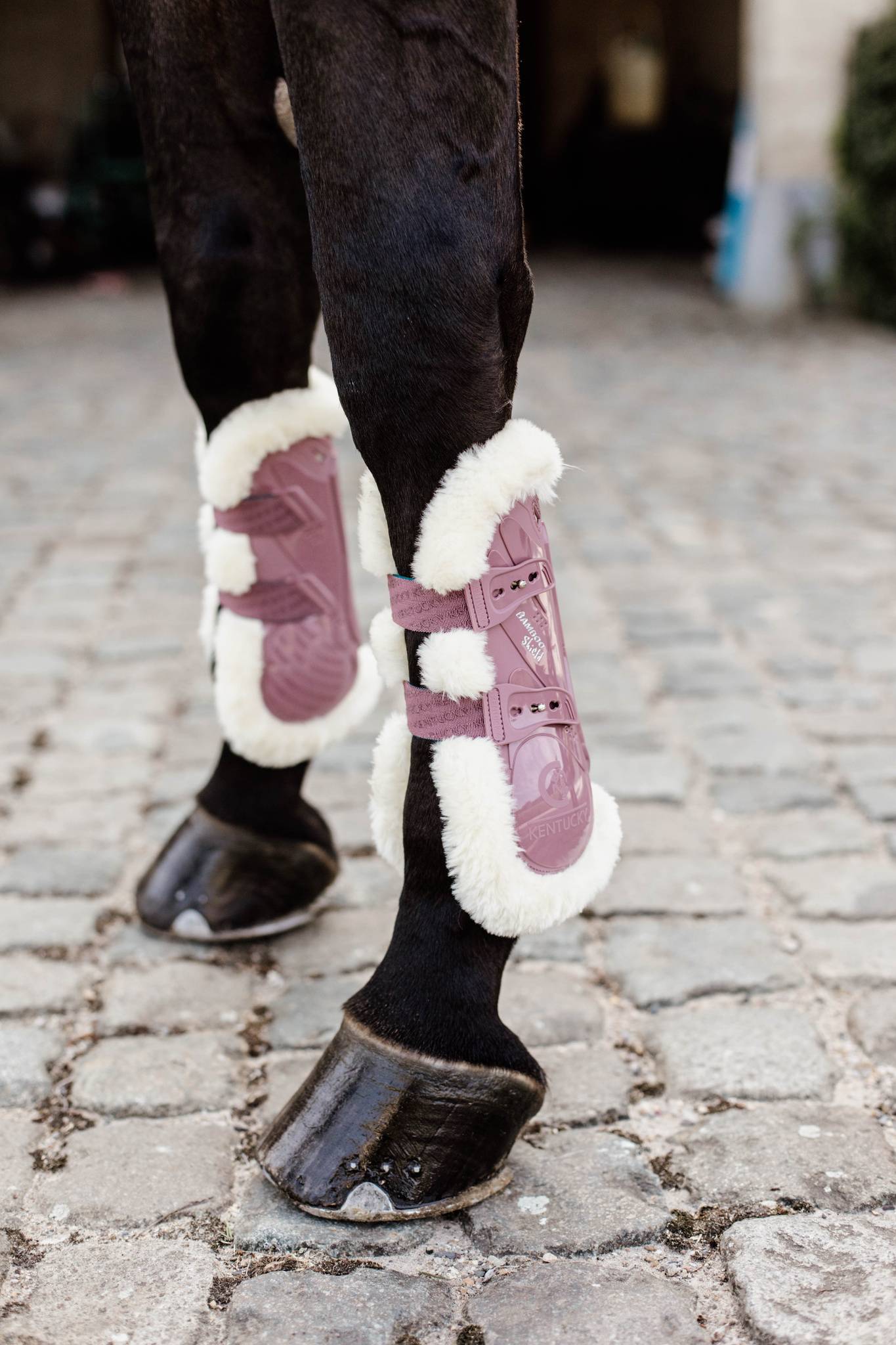 Bamboo Elastic Sheep Vegan Gaiters - Kentucky