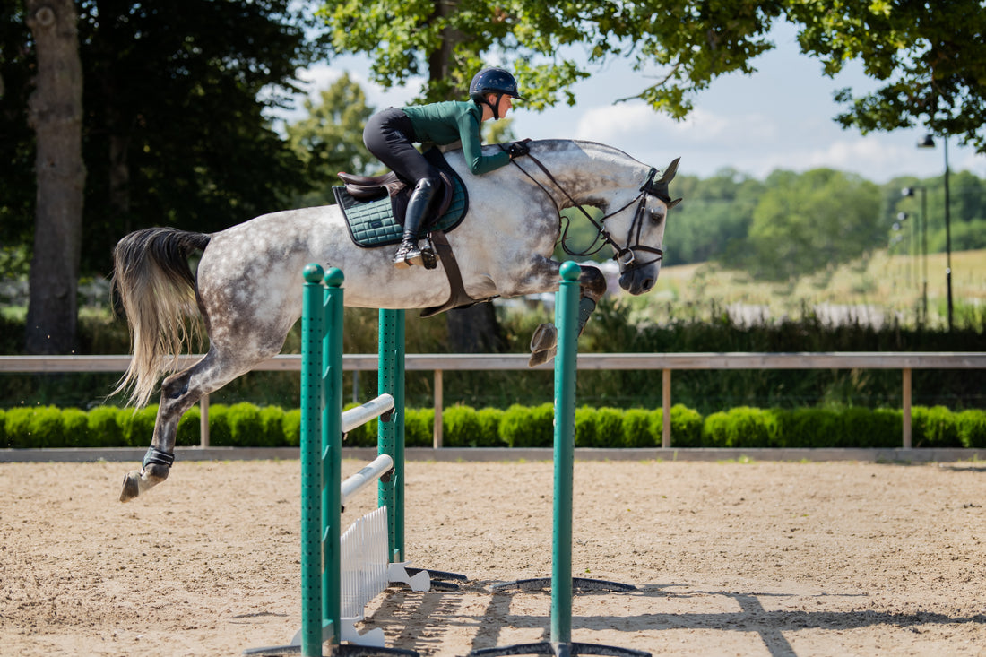 Protège-boulets Anatomic Sycamore Green - Equestrian Stockholm