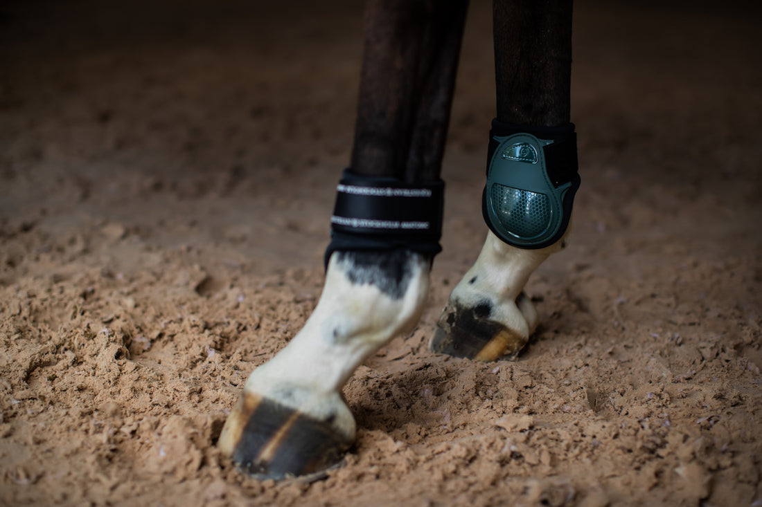 Anatomic Sycamore Green fetlock guards - Equestrian Stockholm