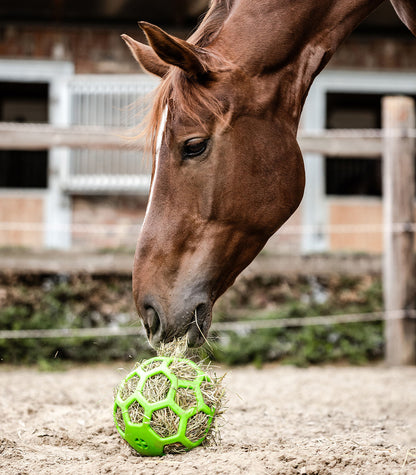 Boule à foin - Waldhausen