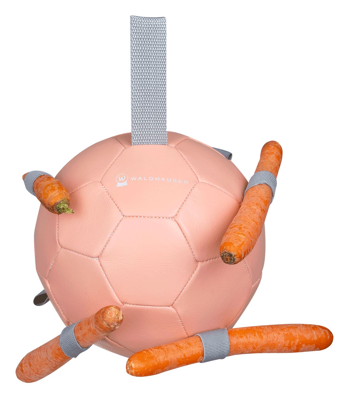 Balle à carottes - Waldhausen