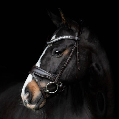 Danciero Bridle - SD Design