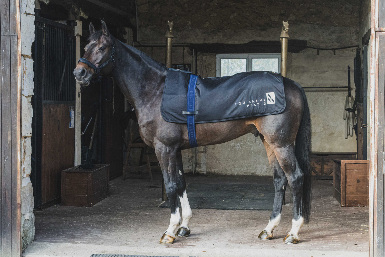 Sursangles Jacquard - Equitheme
