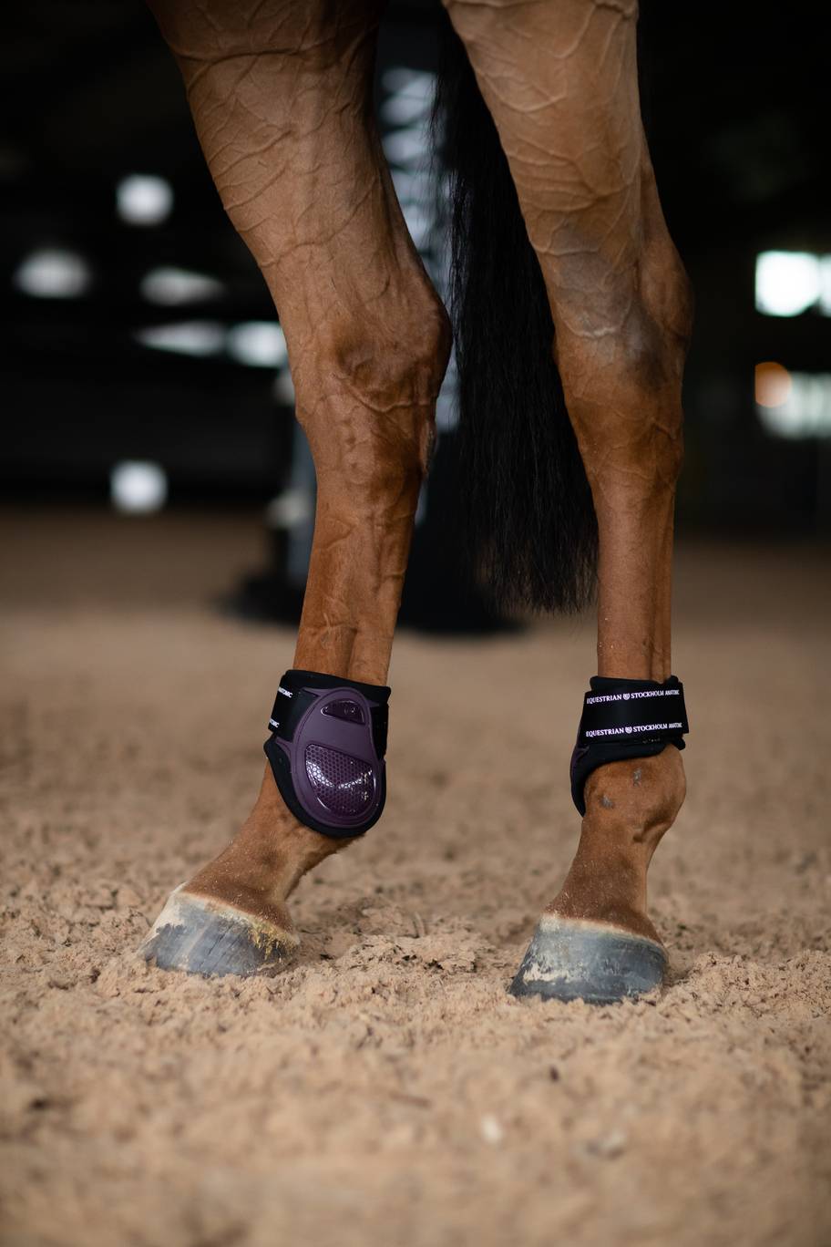 Protège-boulets Anatomic Fetlock Black Raven - Equestrian Stockholm