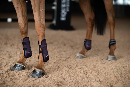 Protège-boulets Anatomic Fetlock Black Raven - Equestrian Stockholm