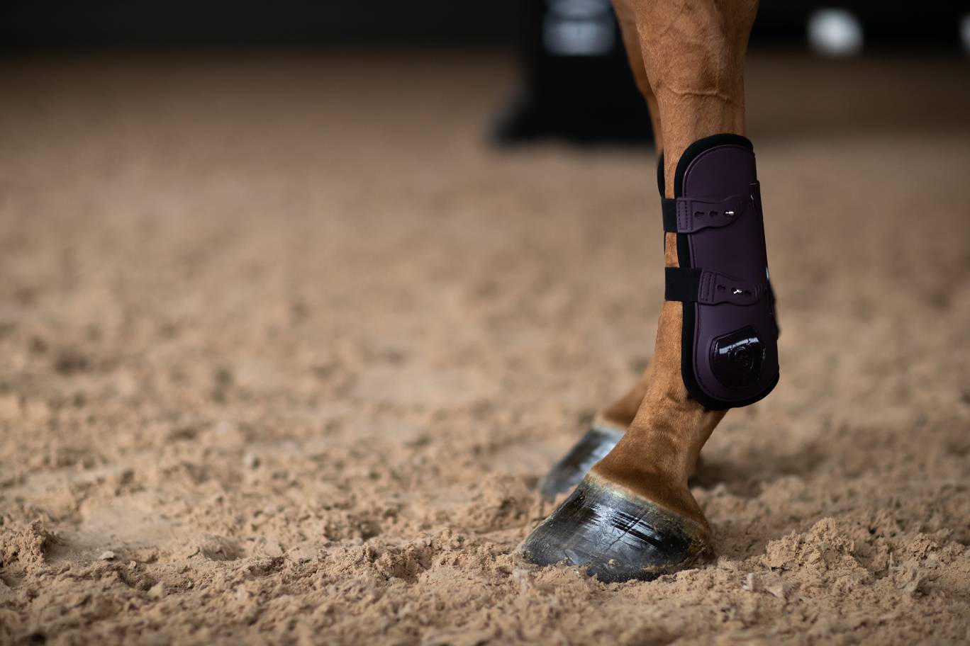 Anatomic Tendon Gaiters Black Raven - Equestrian Stockholm