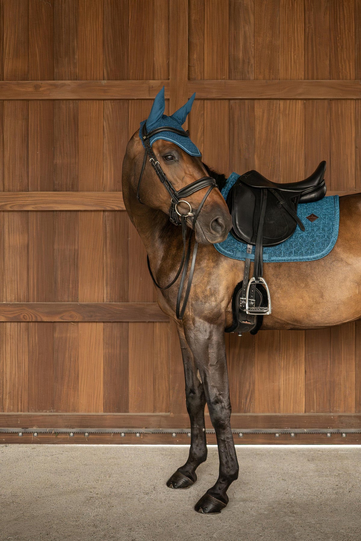 Tapis de selle Sparkling DRESSAGE bleu marine - Kentucky
