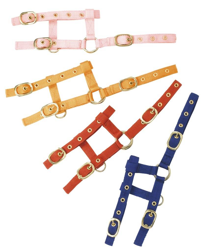 Mini Foal Adjustable Halter - Norton