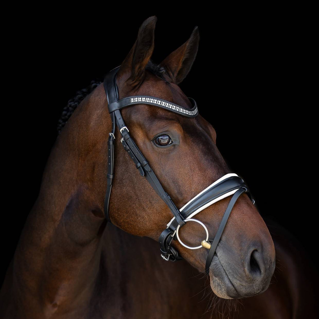 Milanto Bridle - SD Design