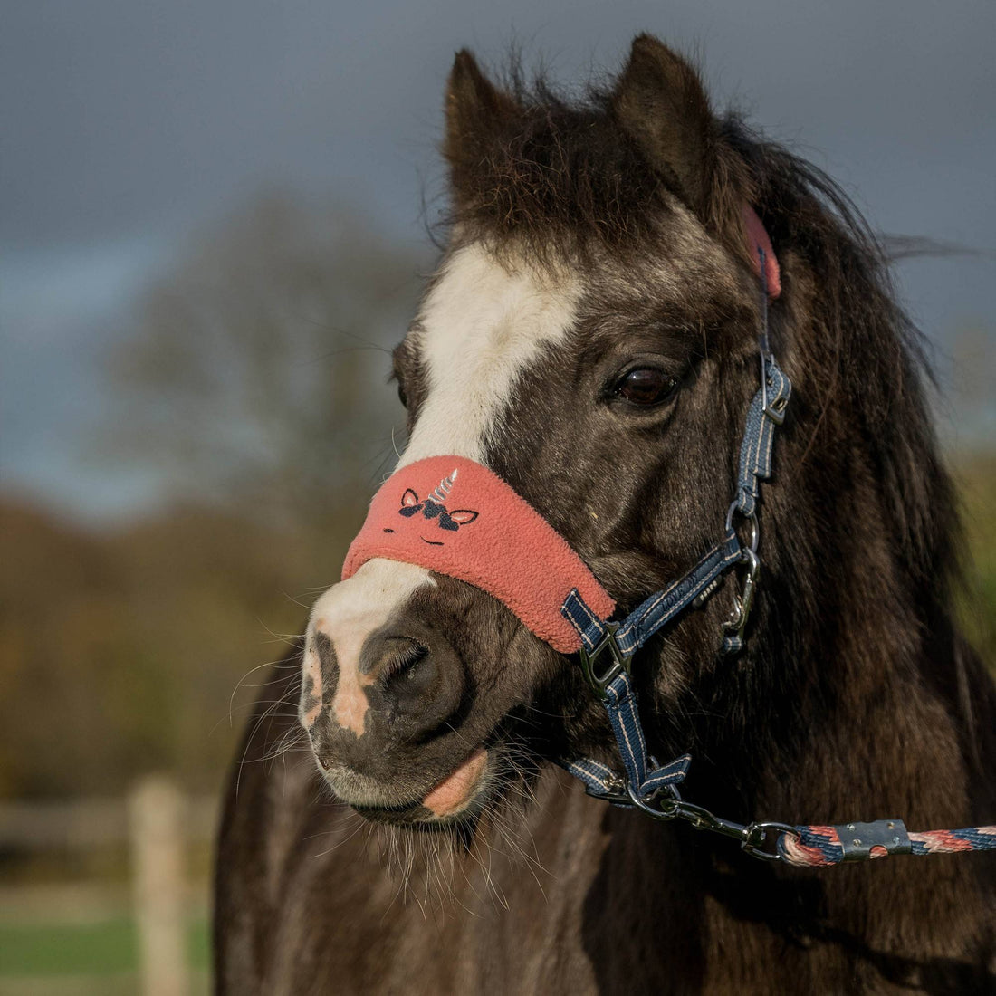 Jollycorn halter and lead set - Horka