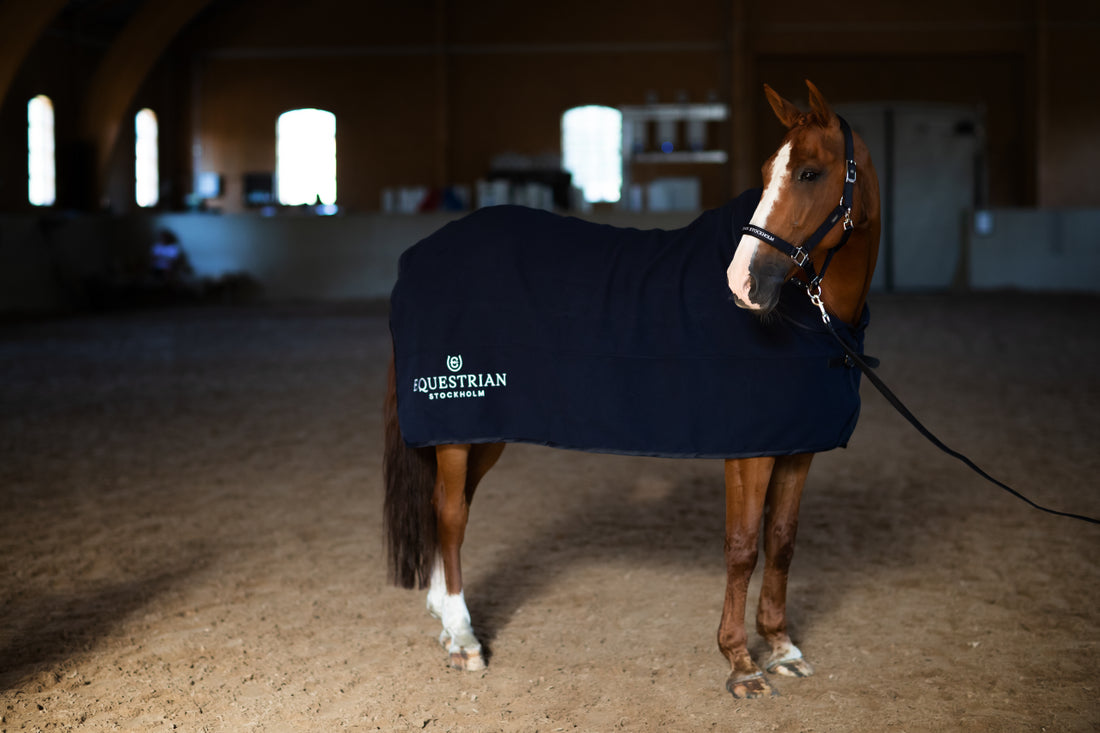 Modern Tech Navy wool blanket - Equestrian Stockholm