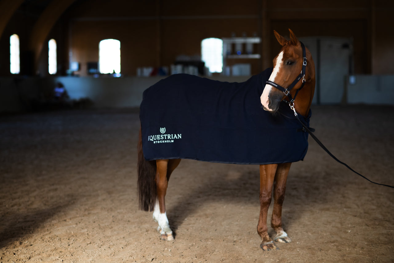 Couverture en laine Modern Tech Navy - Equestrian Stockholm