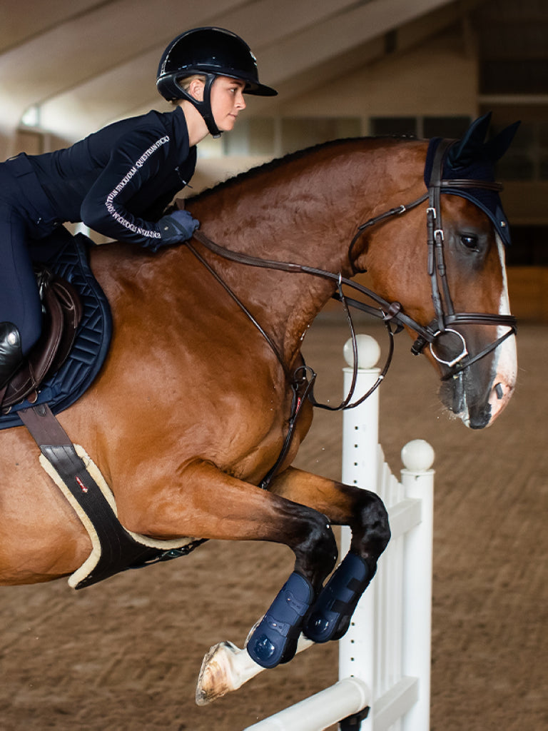 Guêtres Anatomic Tendon Modern Tech Navy - Equestrian Stockholm