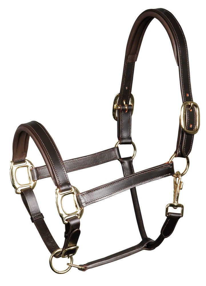 Licol en cuir Padded - Harry&