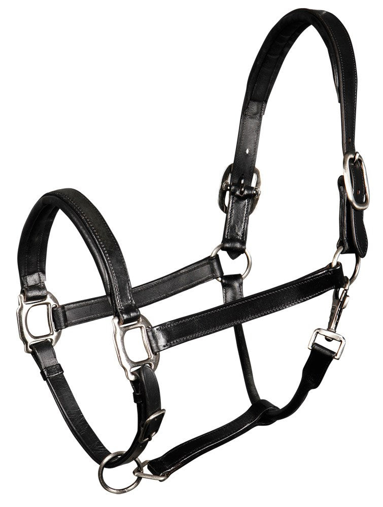 Licol en cuir Padded - Harry&