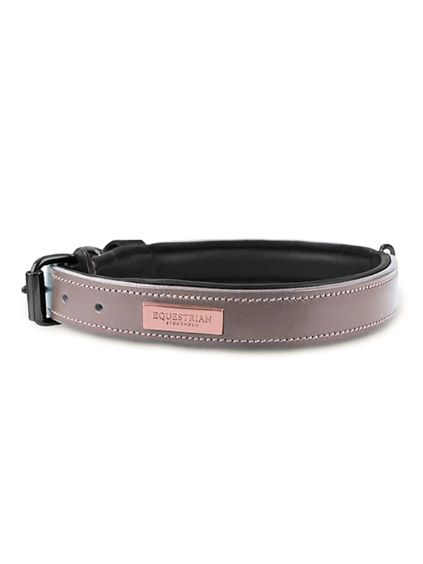 Clean Anemone dog collar - Equestrian Stockholm