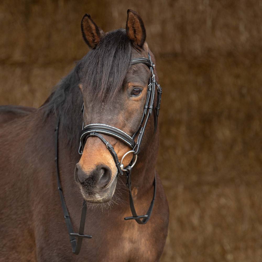 Sparkle Bridle - Harry&