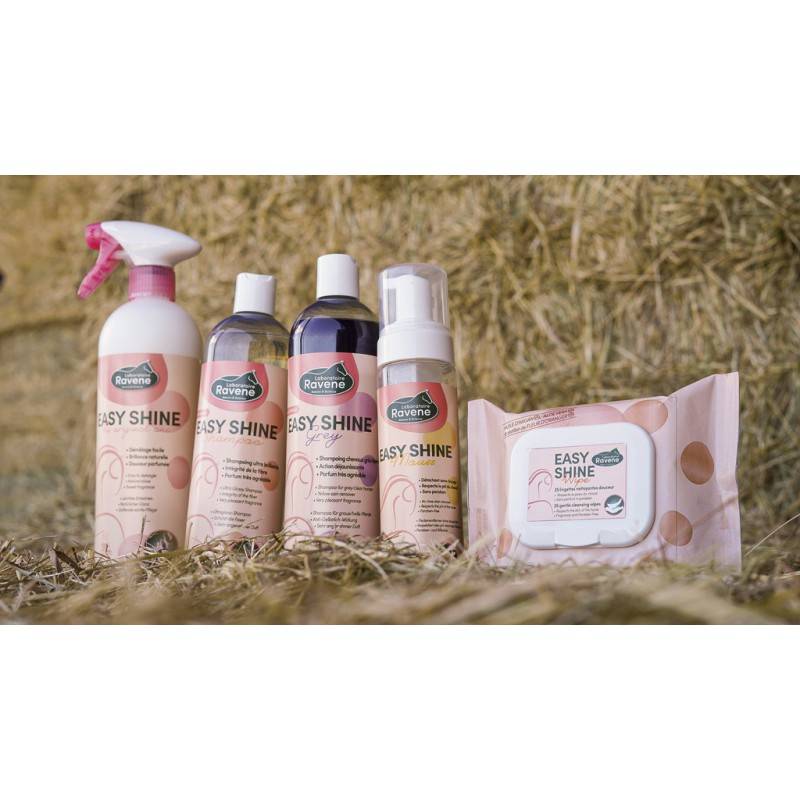 Shampoing Easy Shine - Ravene