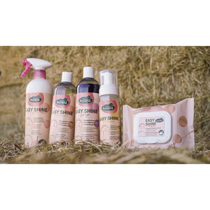 Shampoing Easy Shine - Ravene