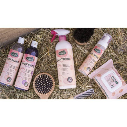 Shampoing Easy Shine Grey - Laboratoire Ravene