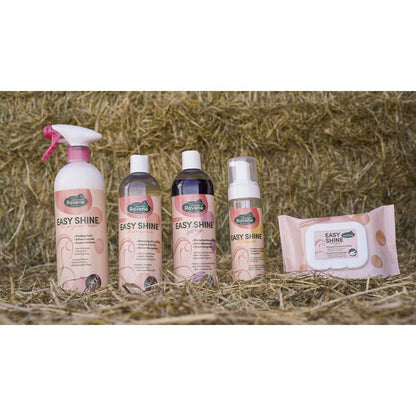 Shampoing Easy Shine Grey - Laboratoire Ravene