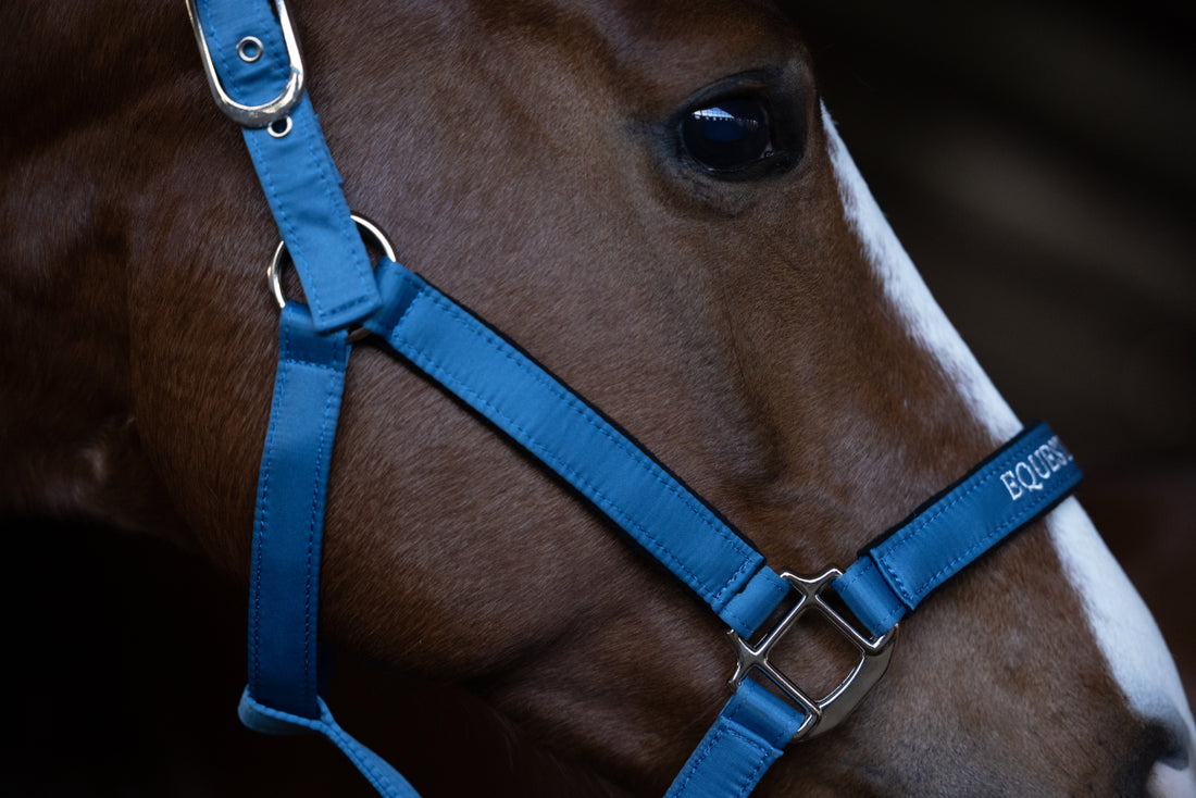 Halter and lead rope Amalfi Coast - Equestrian Stockholm