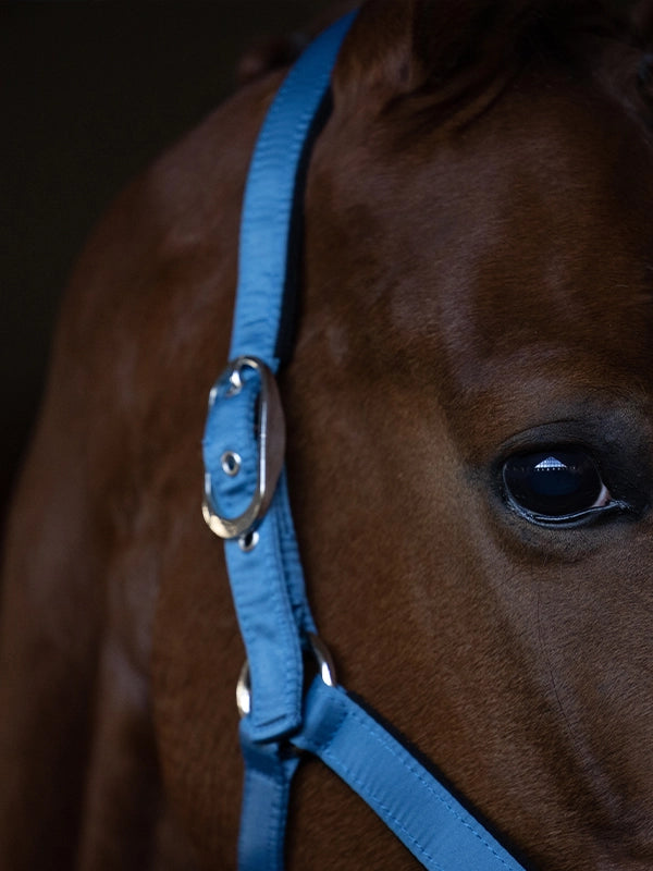 Licol et longe Amalfi Coast - Equestrian Stockholm