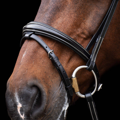 Bridon Legacy - HV Polo