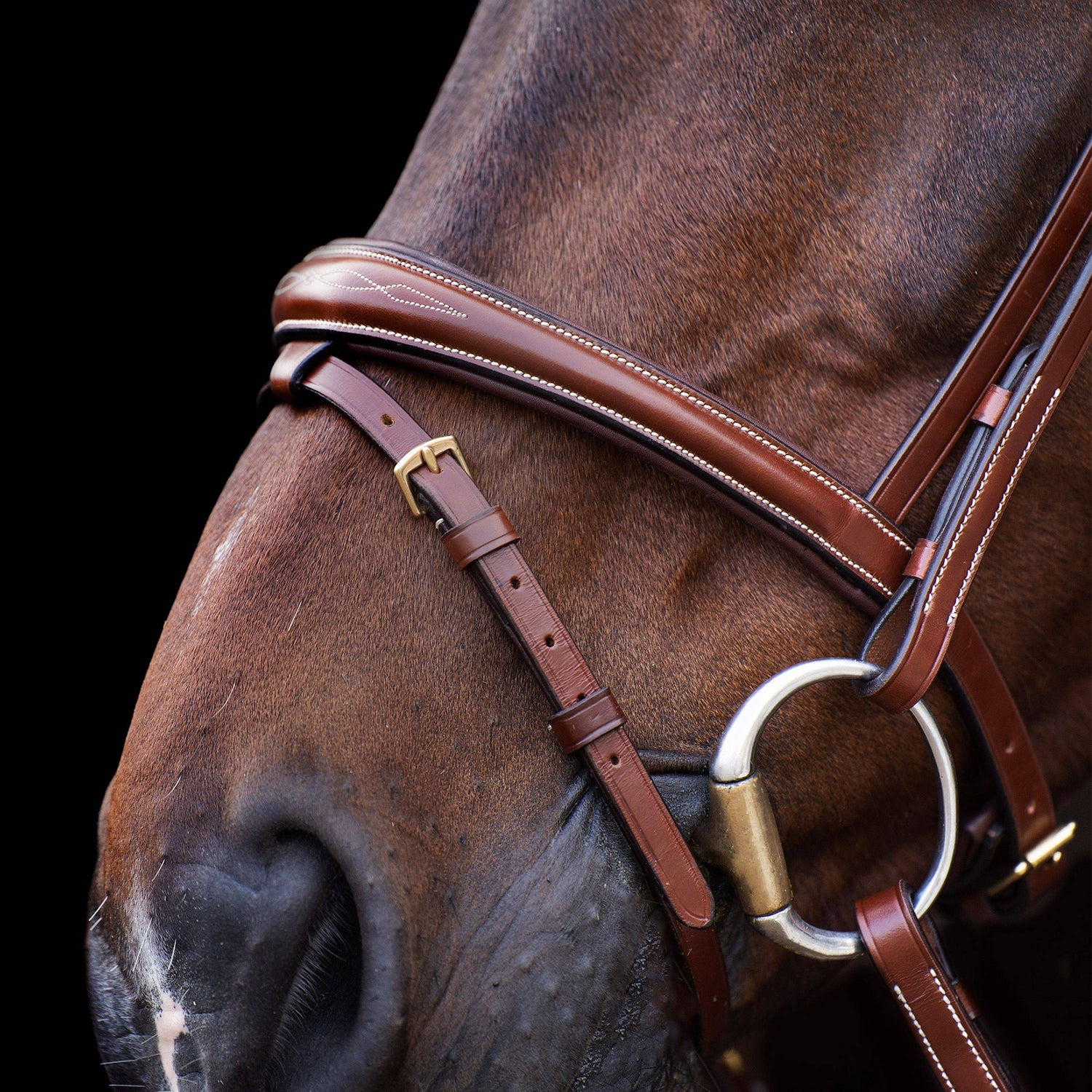 Bridon Legacy - HV Polo