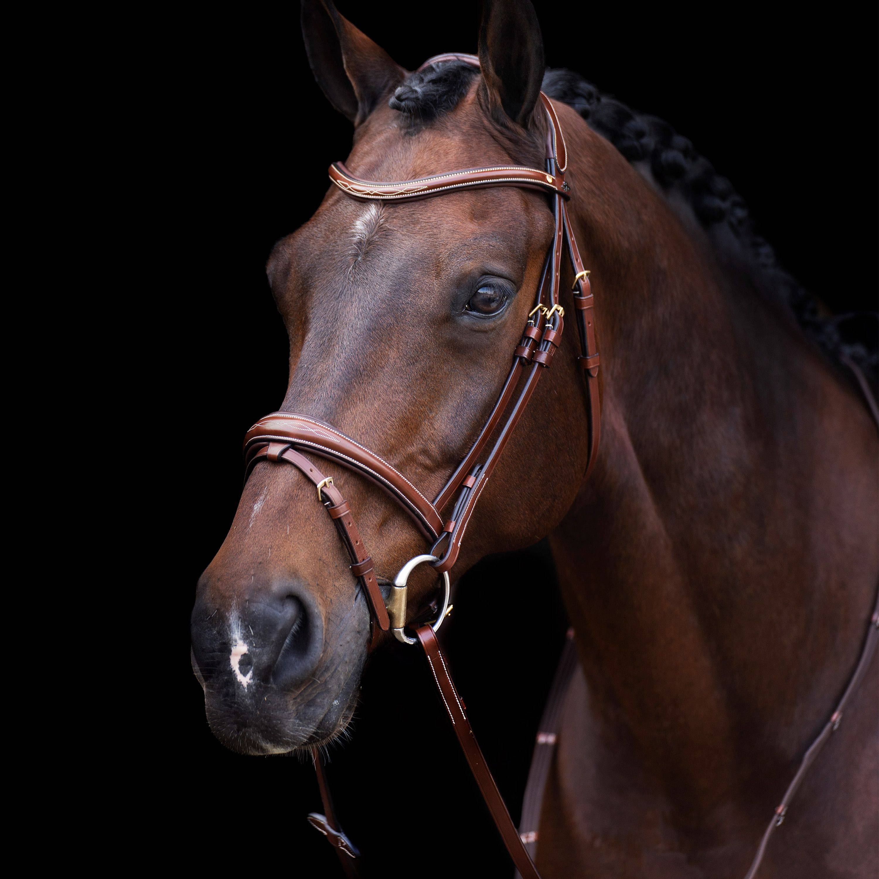 Bridon Legacy - HV Polo