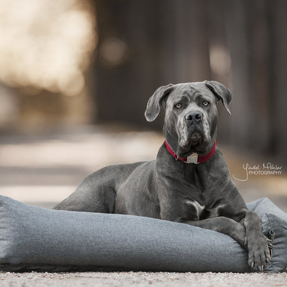 Soft Sleep dog bed - Kentucky