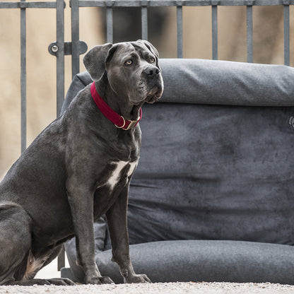 Soft Sleep dog bed - Kentucky