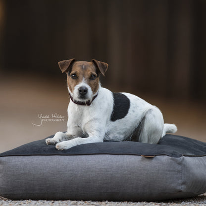 Panier pour chien Soft Pillow - Kentucky