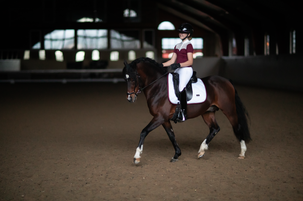 Champion Top Bordeaux and White competition polo shirt - Equestrian Stockholm