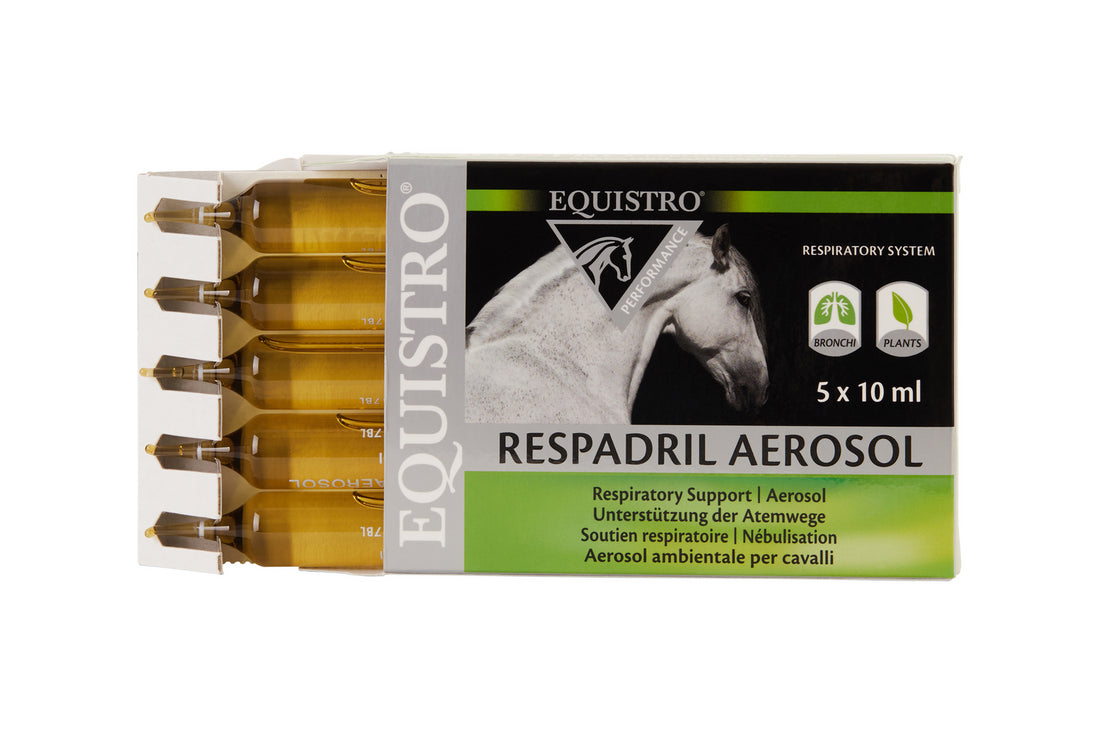 RESPADRIL AEROSOL nebulization ampoules - Equistro