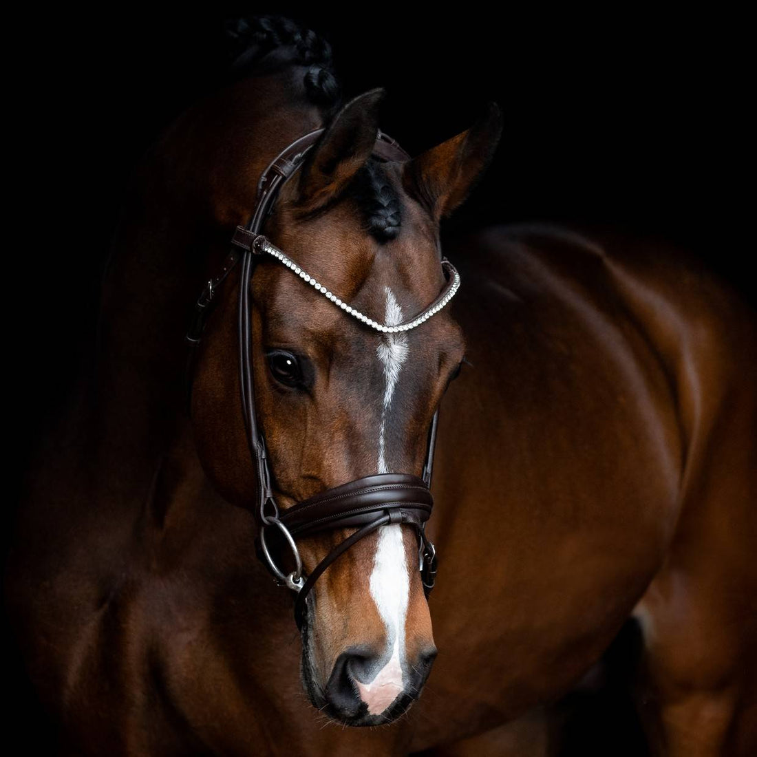 RAPSODY round leather bridle Brown - SD Design