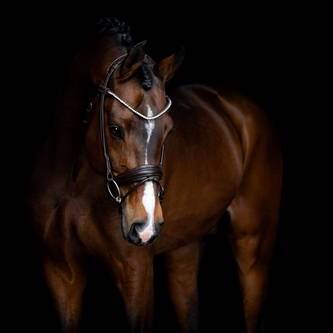 RAPSODY round leather bridle Brown - SD Design