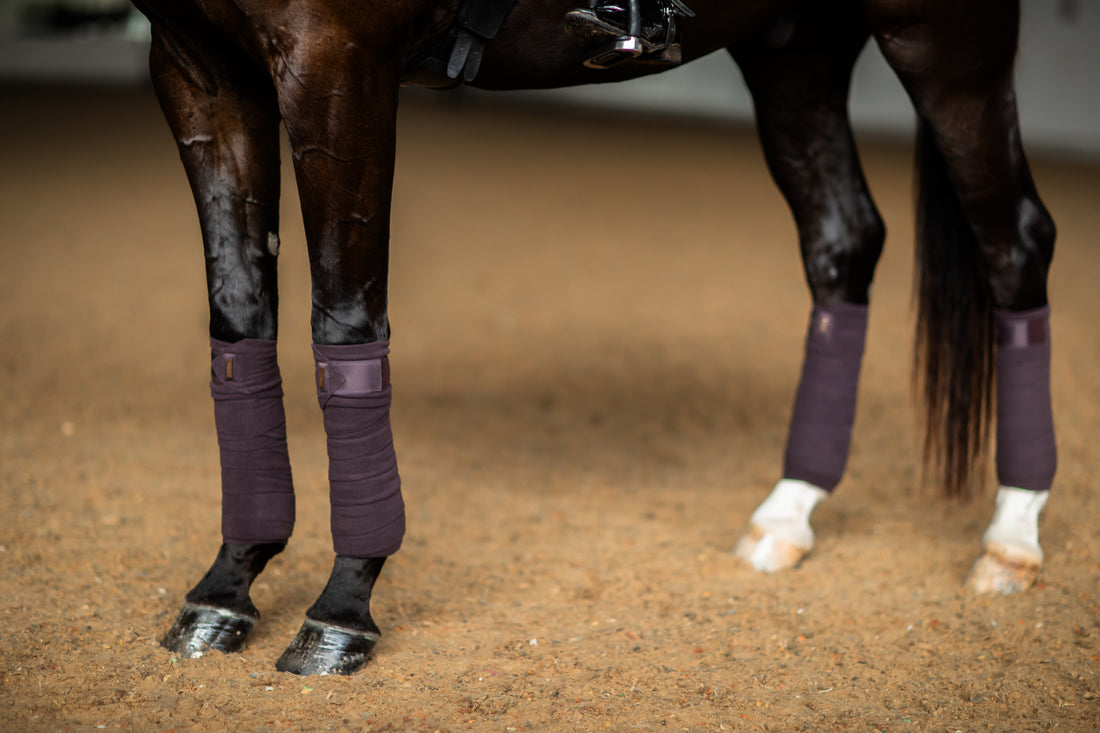 Moonless Night Polo Bands - Equestrian Stockholm